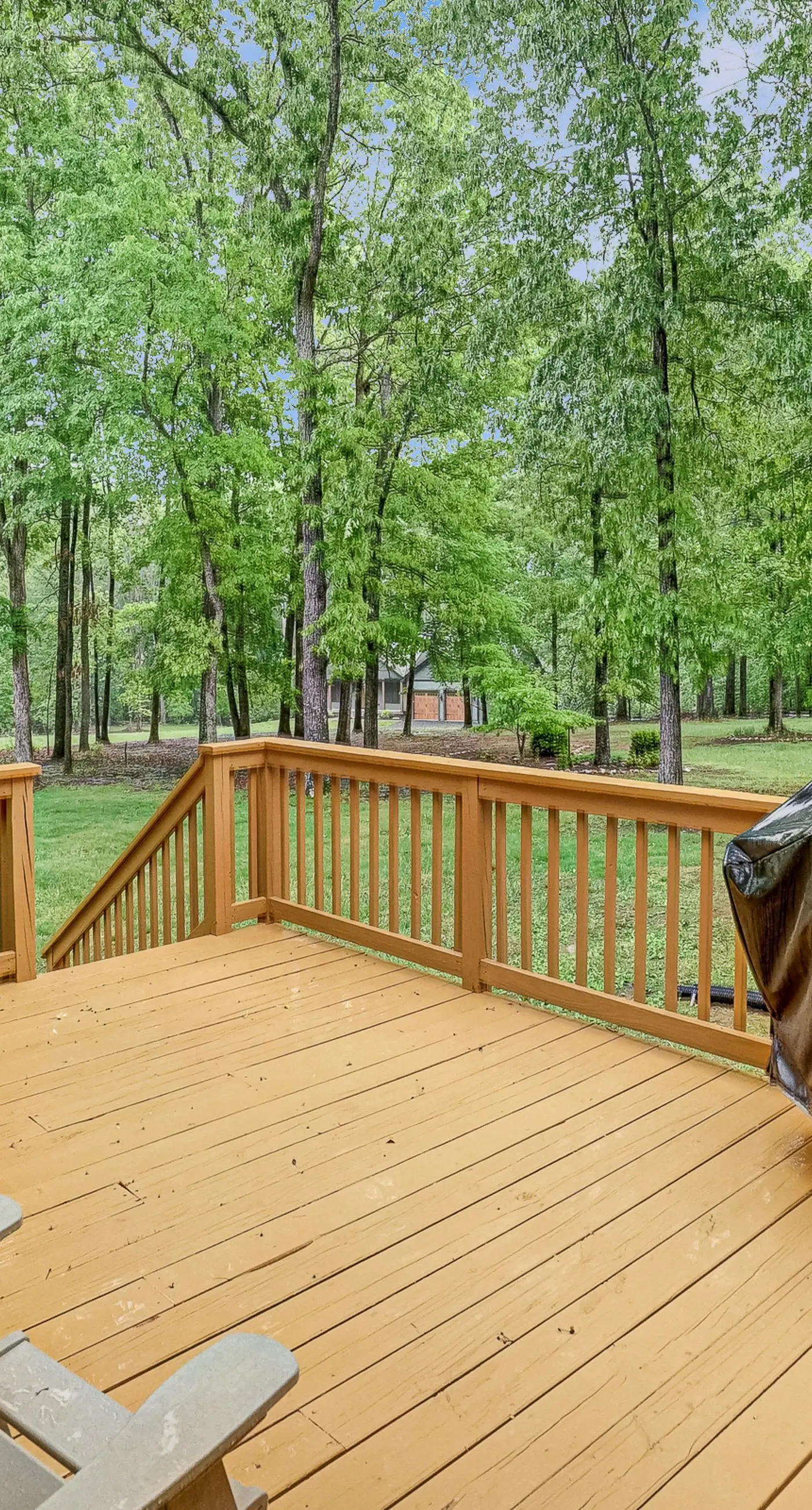 Lucky Penny at Lake Anna