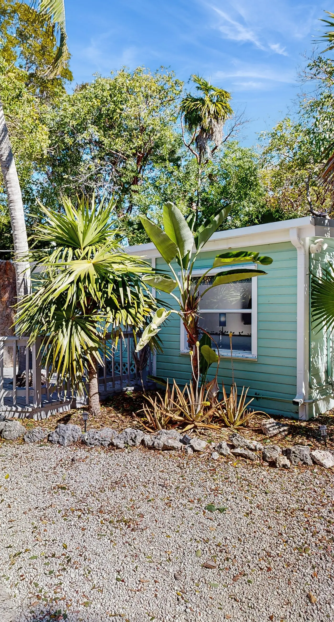 The Tree Lane Fish Camp