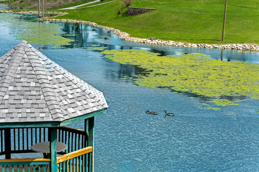Golfshores Delight