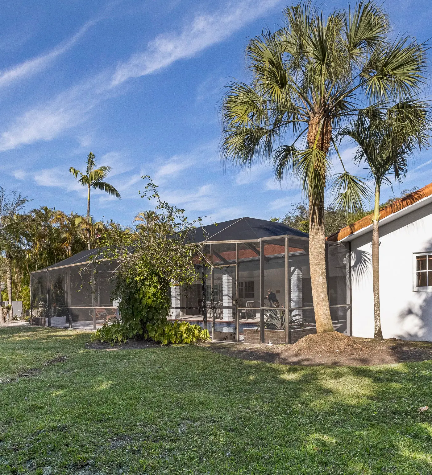 Tranquil Heirloom Hideaway, Pool in South Miami