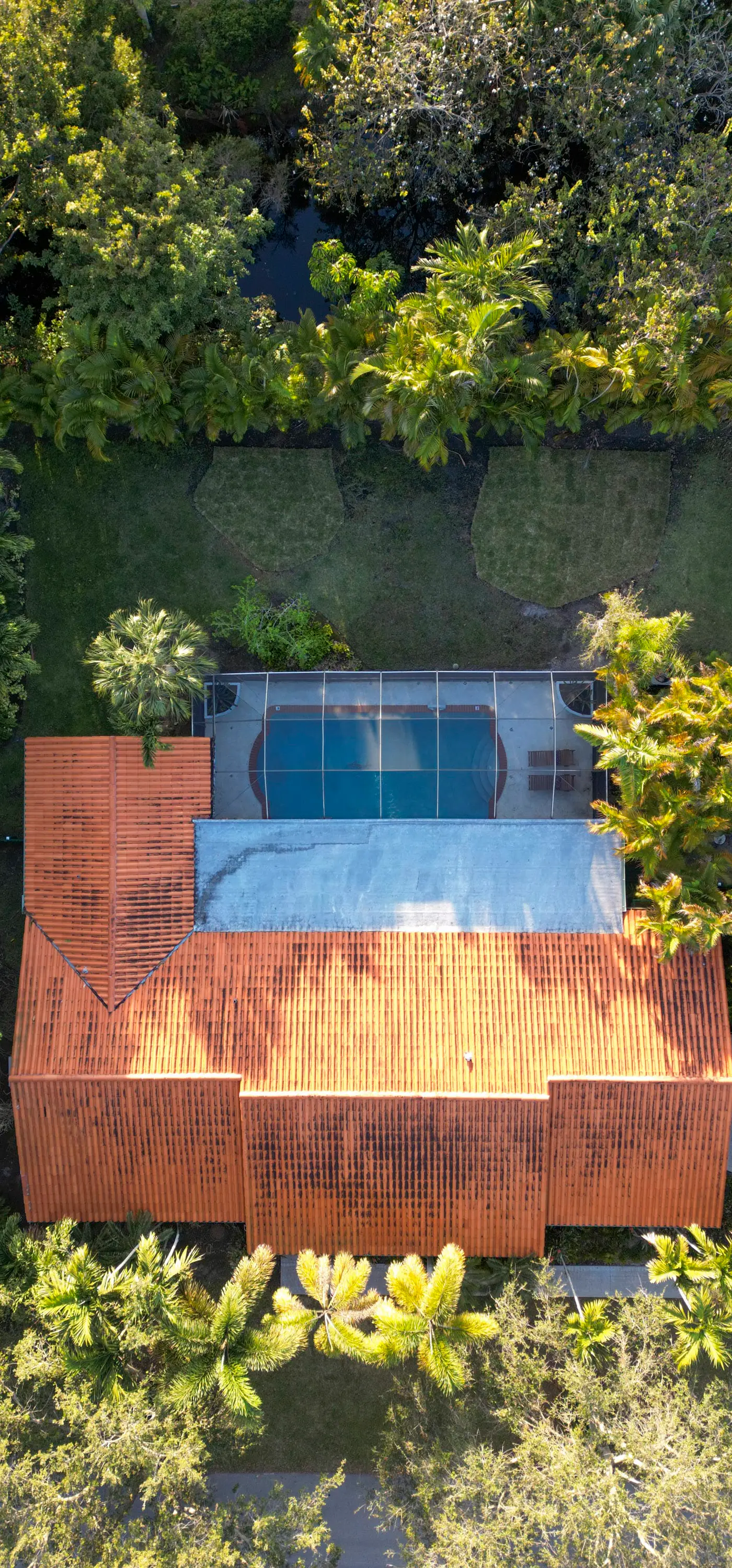 Tranquil Heirloom Hideaway, Pool in South Miami