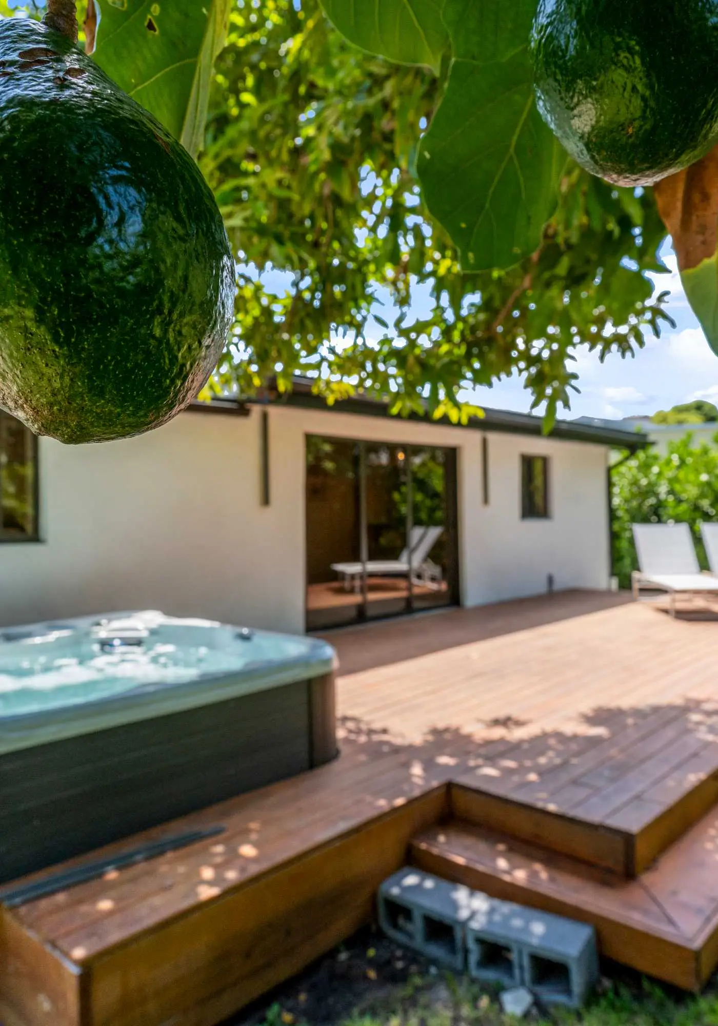 Casa Siesta, Modern, by Design District, Hot Tub