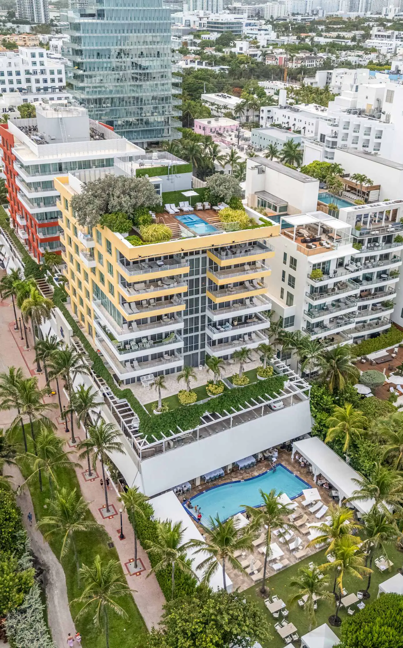 Oceanfront Retreat- South Beach, Pool, Amenities