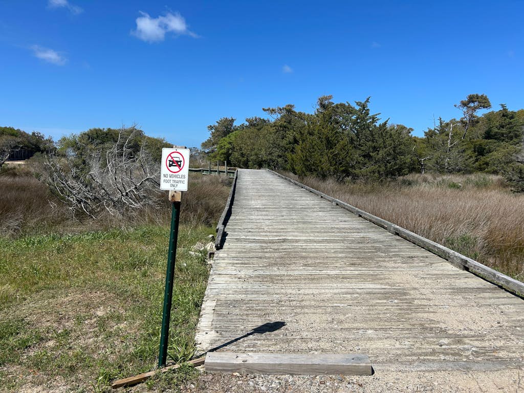 Wren's Nest: Soundside, Sound Access, Newly Renovated