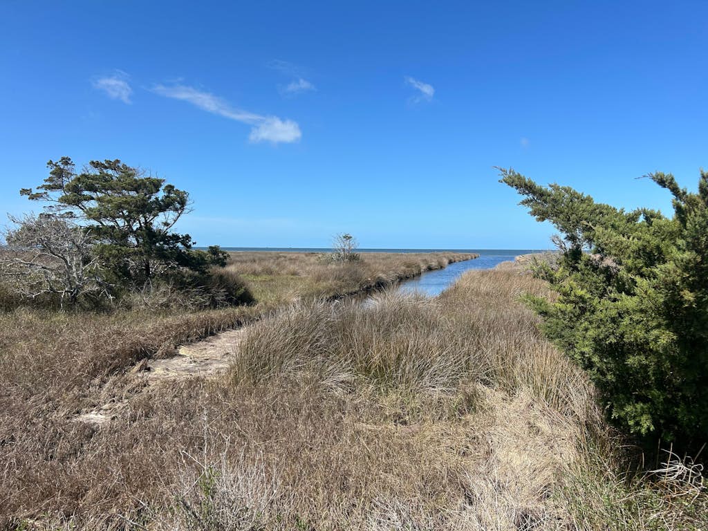 Wren's Nest: Soundside, Sound Access, Newly Renovated