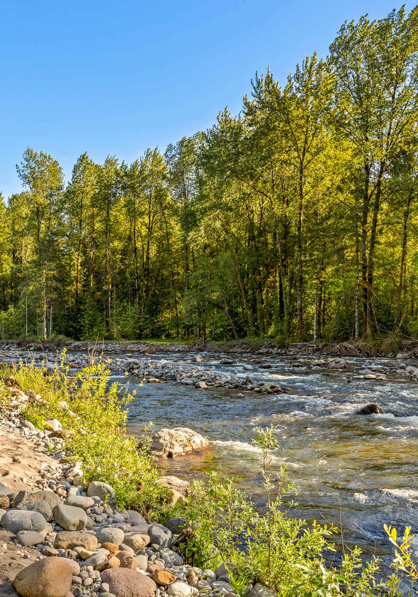 Riverfront retreat with panoramic river and forest views