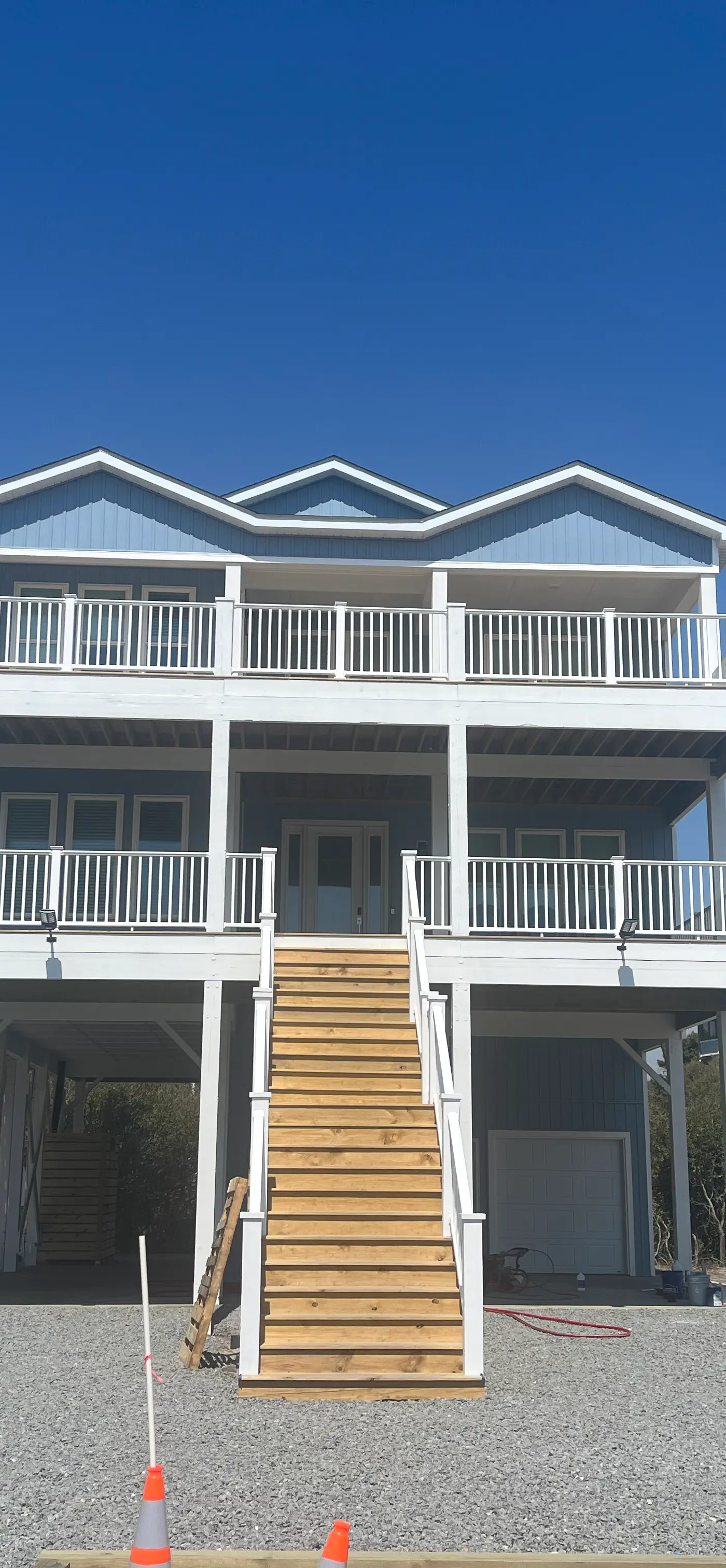 NTBDS23 Blue Dolphin