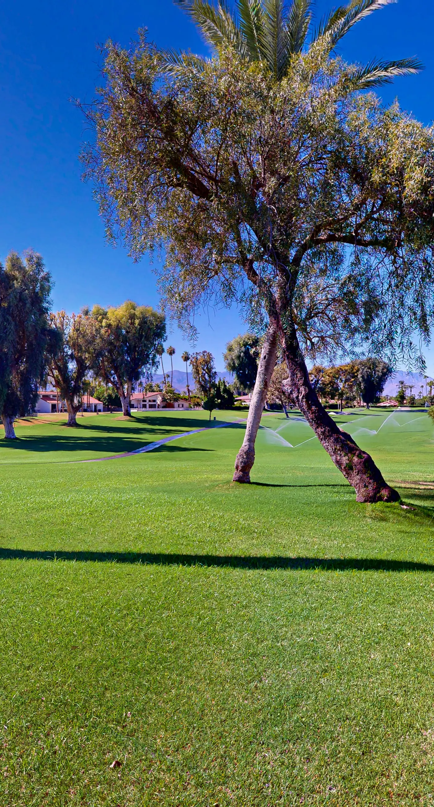 Bermuda Back Nine