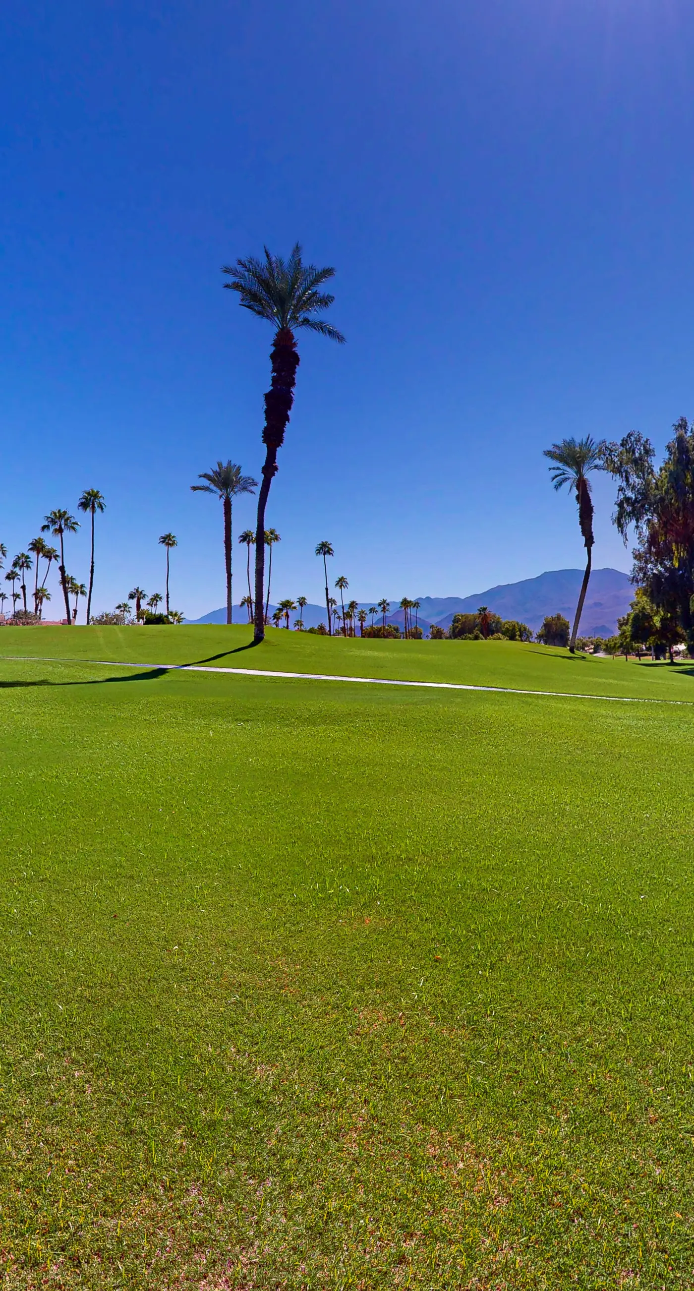 Bermuda Back Nine