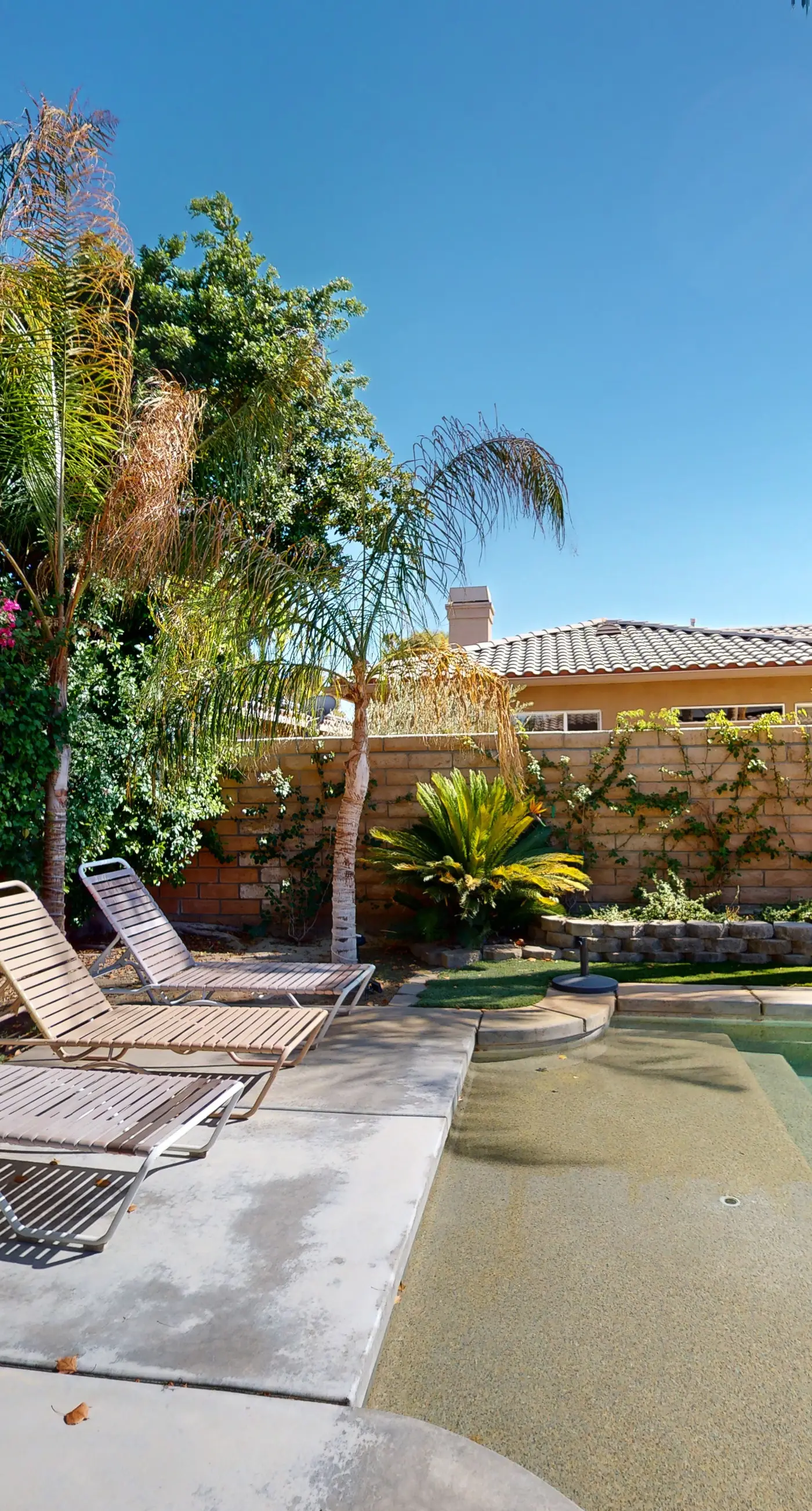 Desert Dream House