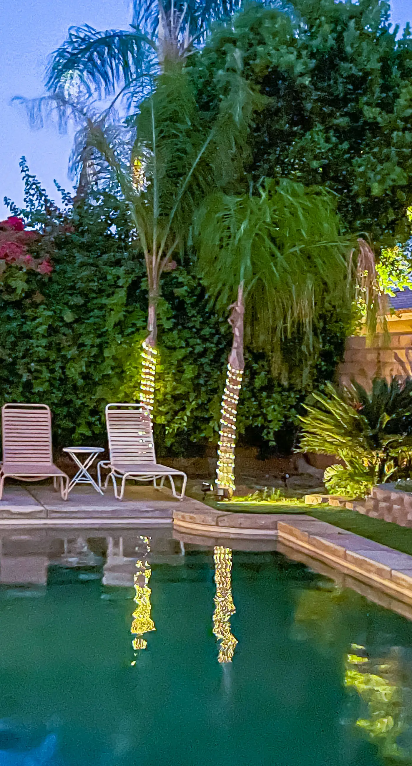 Desert Dream House