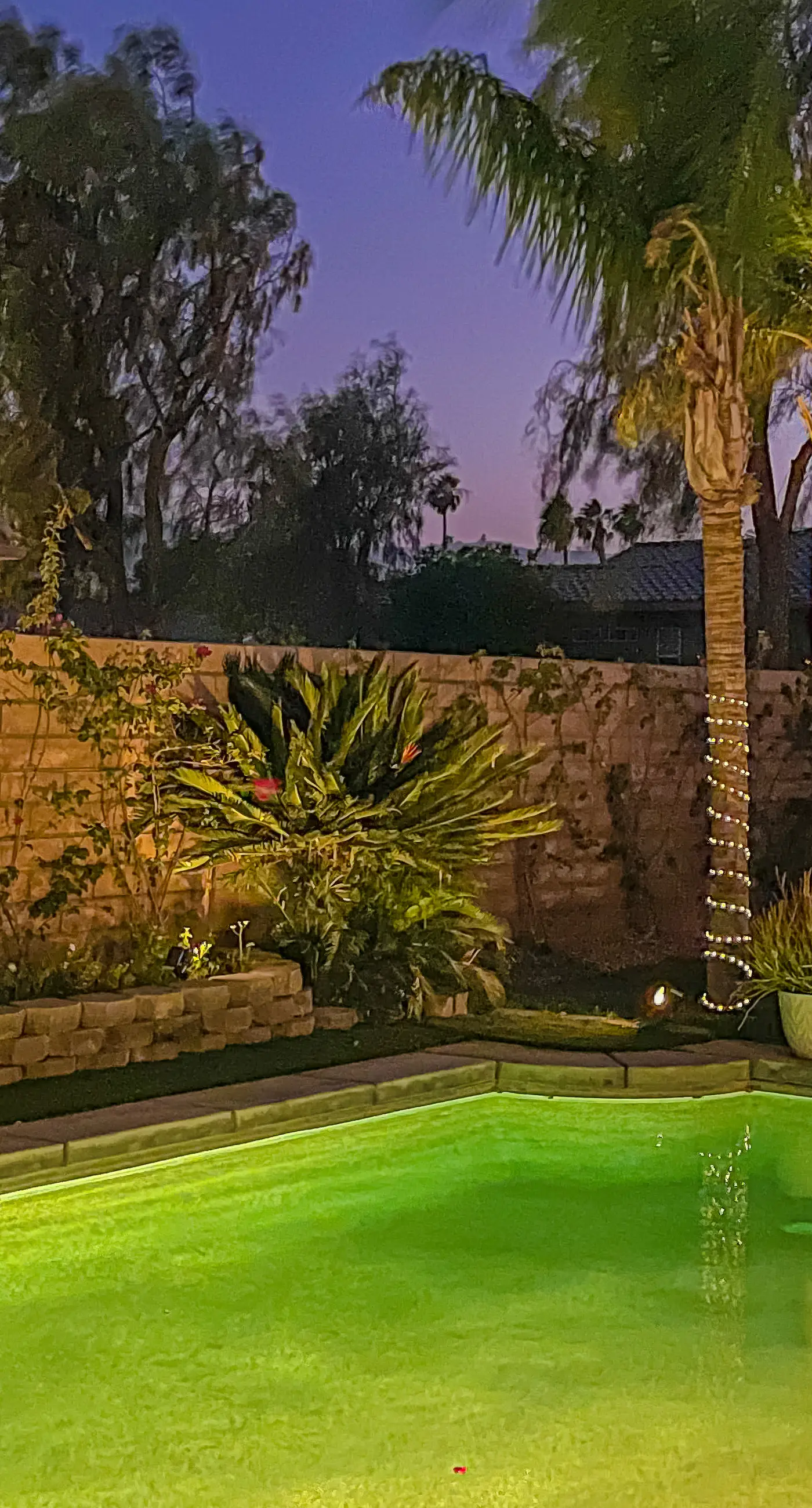 Desert Dream House
