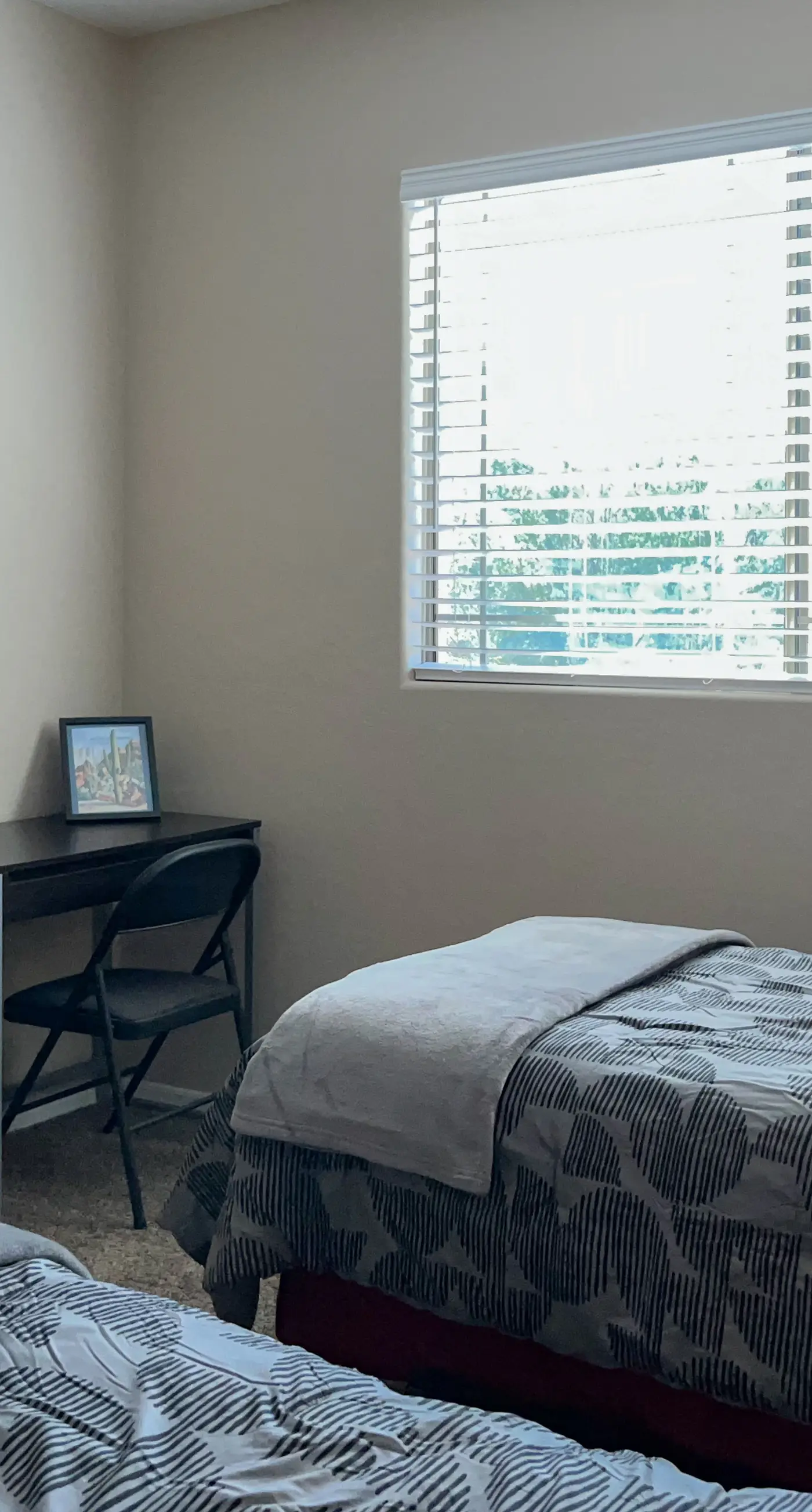 Vistoso Preserve Casita  #226C