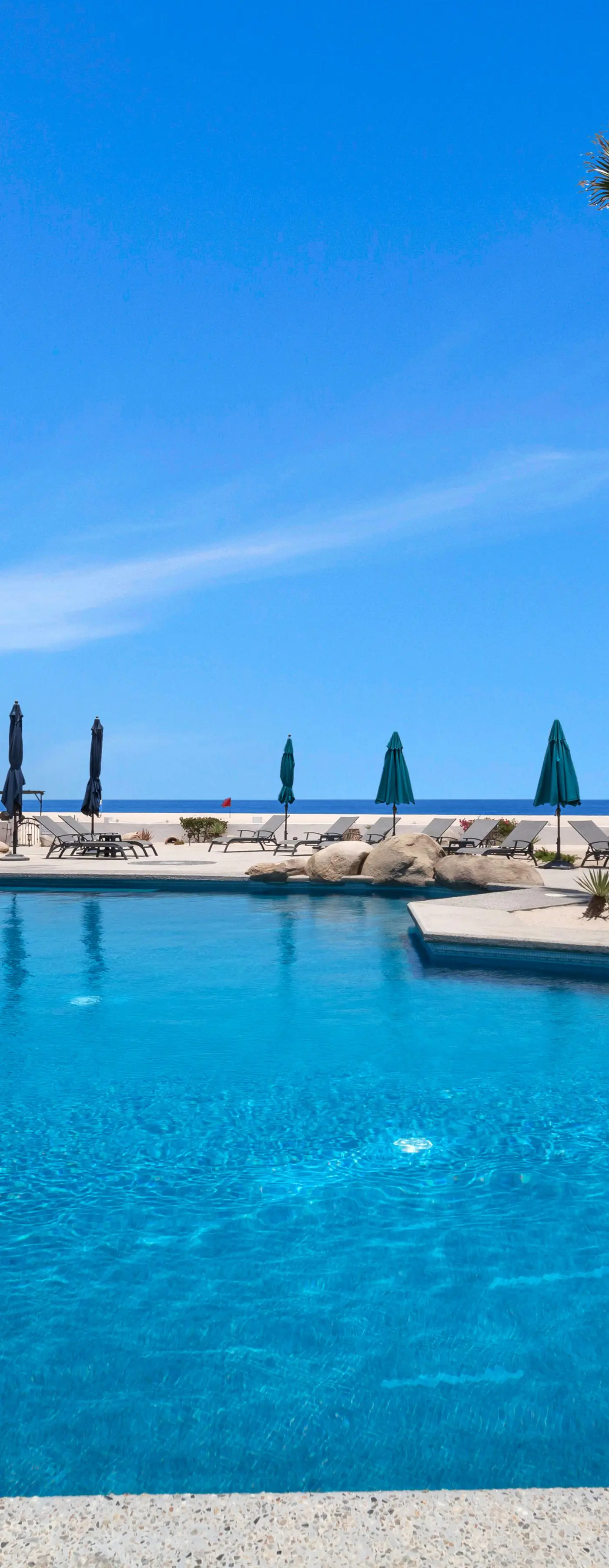 Viva Condominiums Viva 28