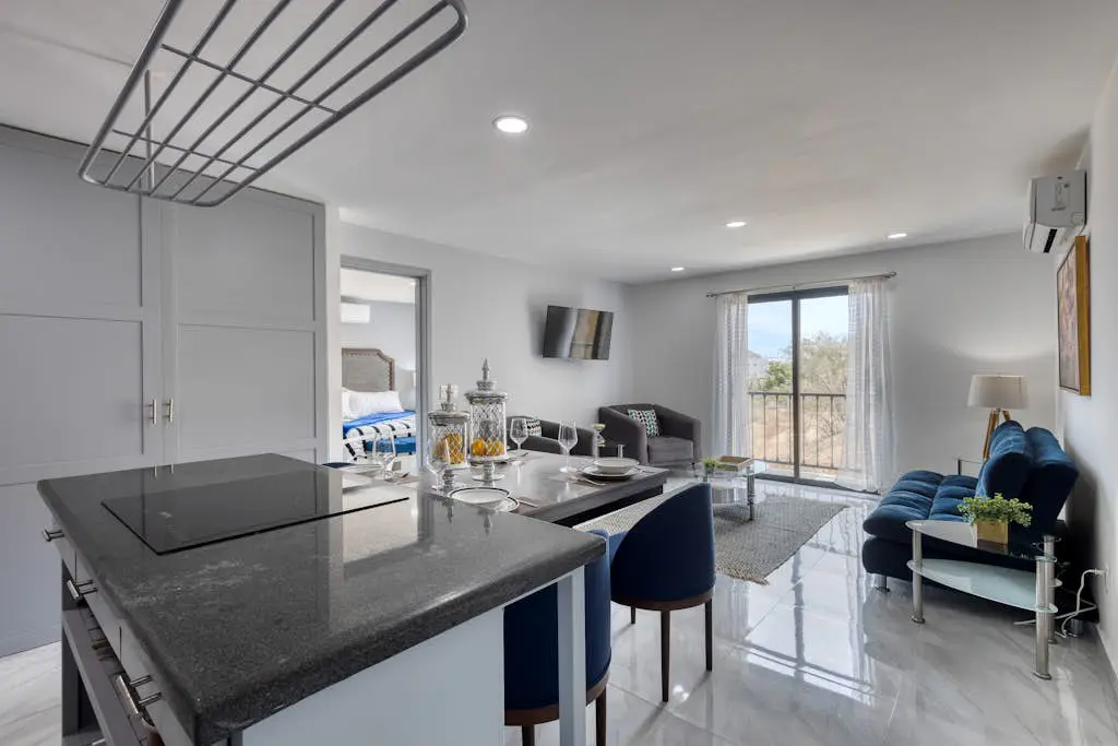 Dog-friendly hotel suite with ocean-view rooftop infinity pool, central AC & gym