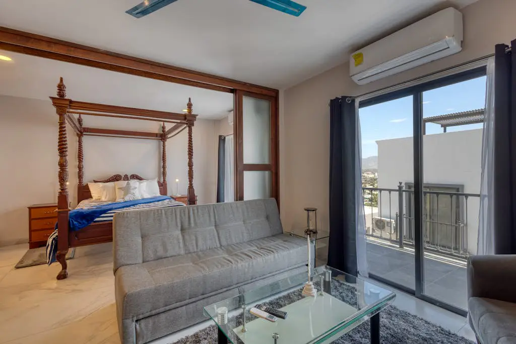Dog-friendly apartment with rooftop infinity pool, gym, central AC, & balcony