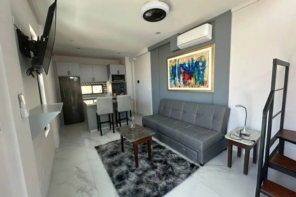 Dog-friendly loft with rooftop infinity pool, gym, balcony, & central AC