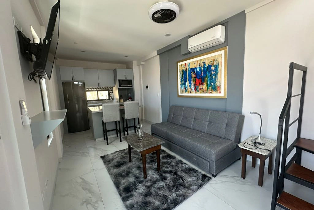 Dog-friendly loft with rooftop infinity pool, gym, balcony, & central AC