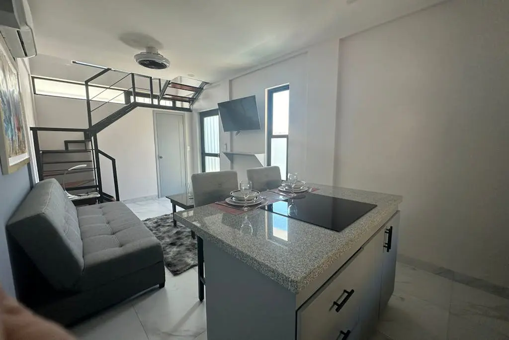 Dog-friendly loft with rooftop infinity pool, gym, balcony, & central AC