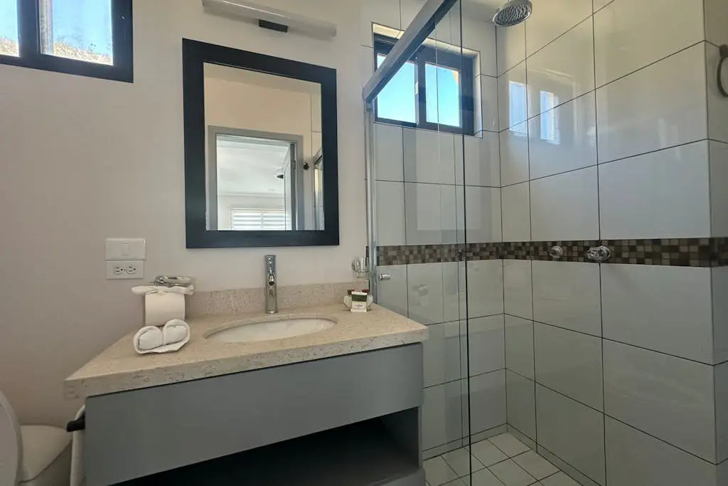 Dog-friendly loft with rooftop infinity pool, gym, balcony, & central AC