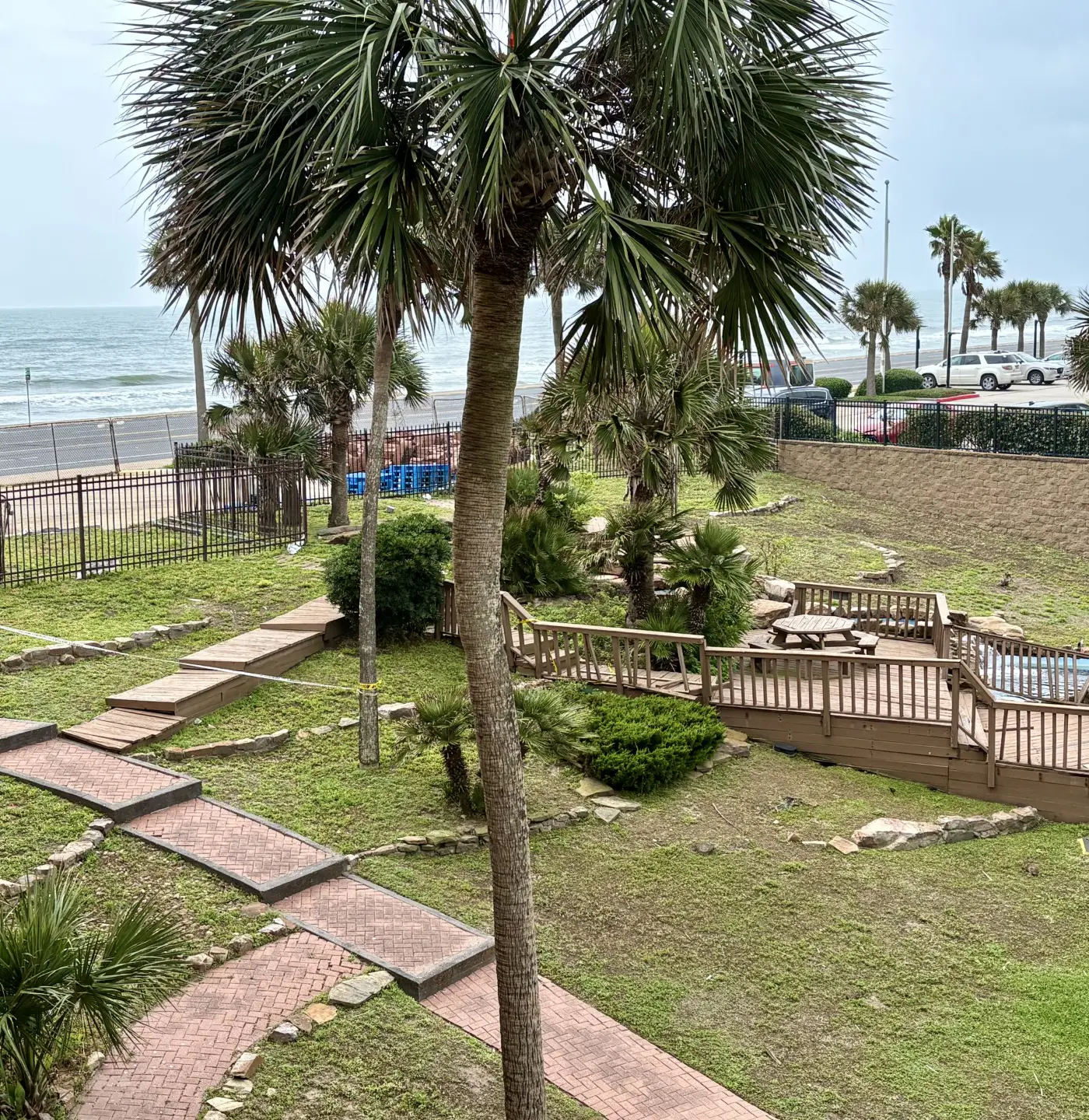 The Turquoise Turtle