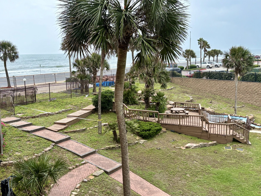 The Turquoise Turtle