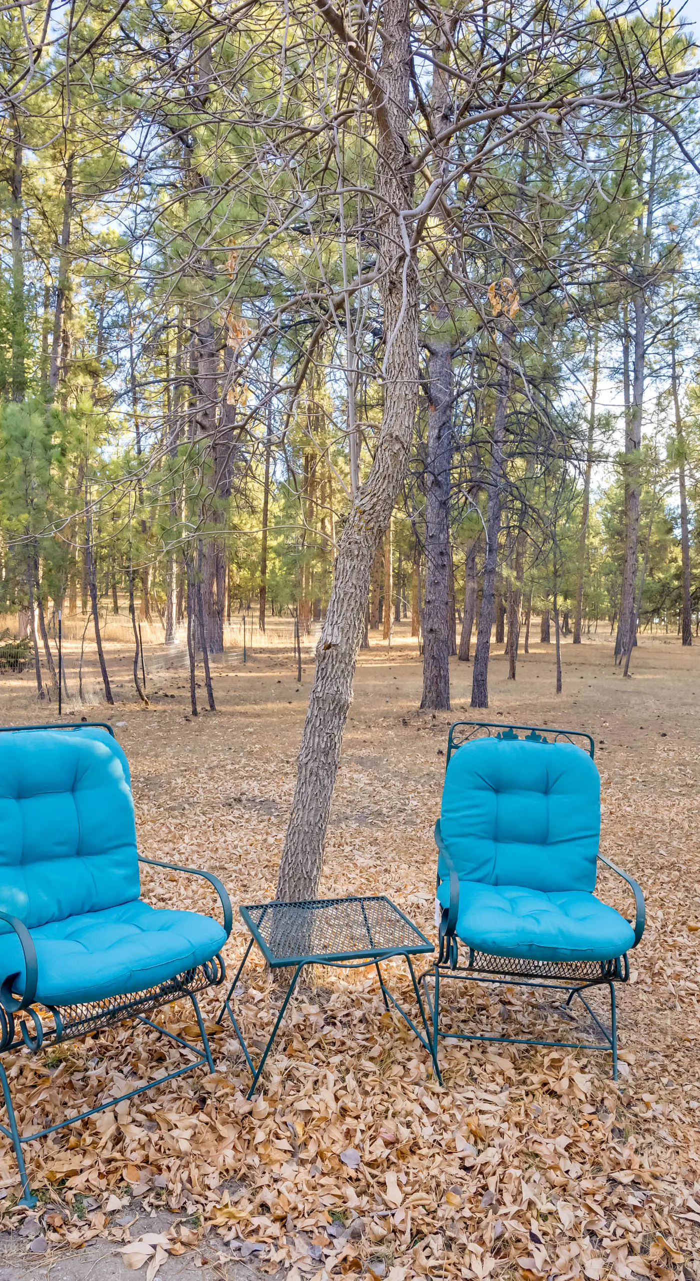Secluded Elizabeth Apt on 3 Acres: Pets Welcome!