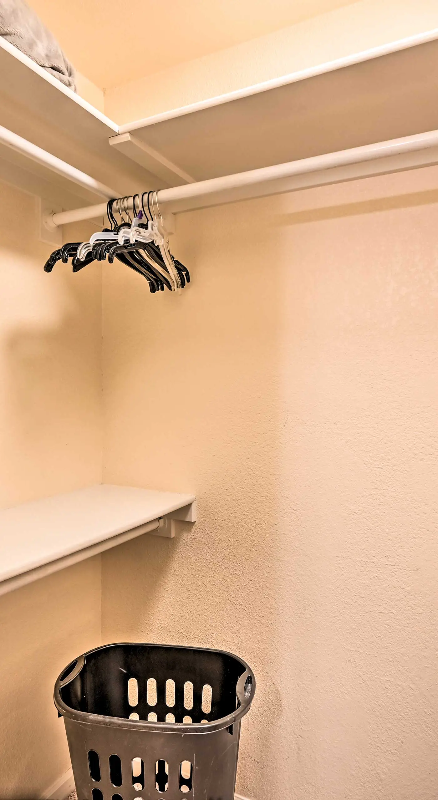 2 Blocks to Light Rail: Denver Unit w/ Kitchenette