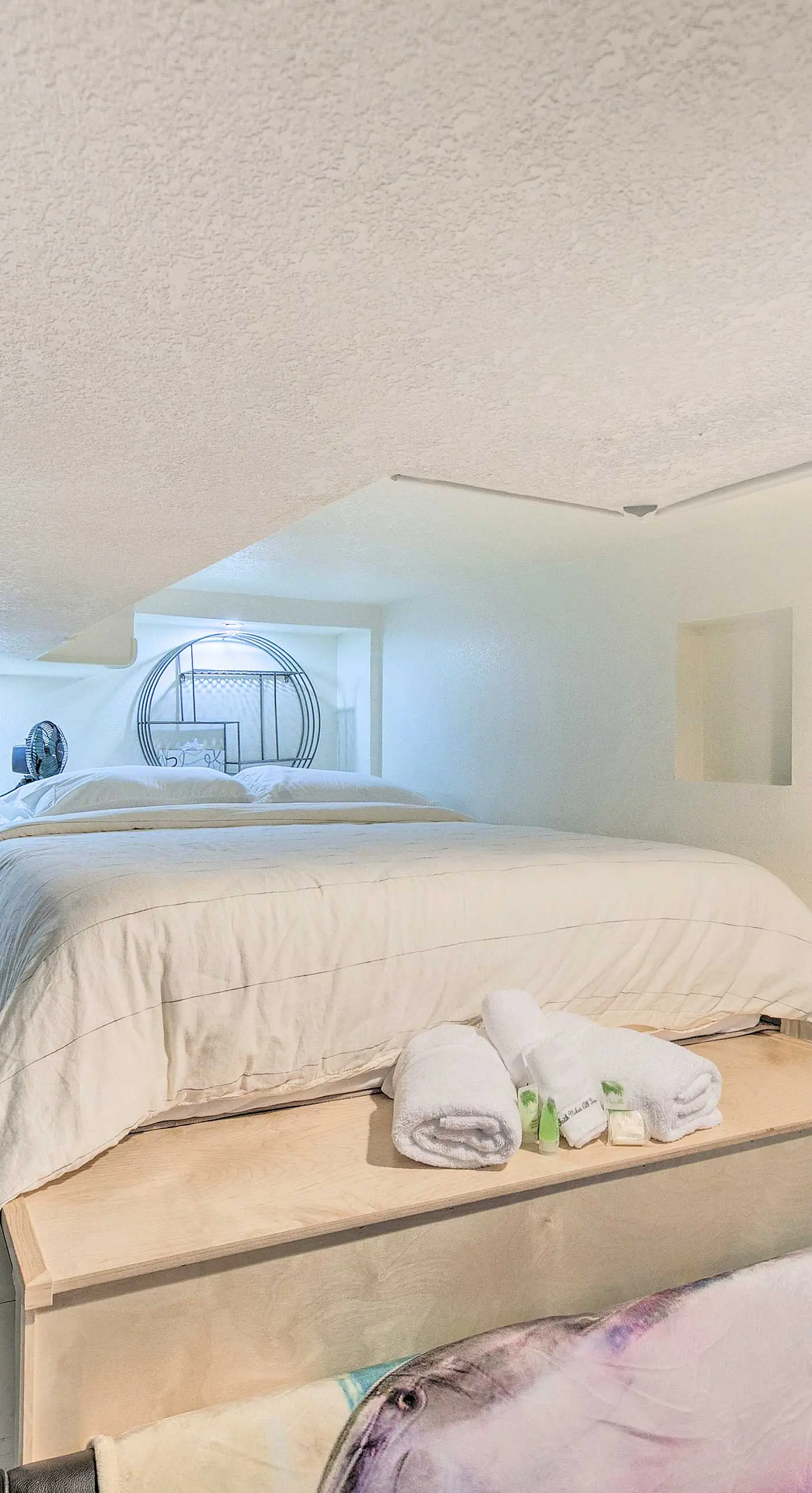 Steps to City Park + Restaurants: Denver Studio