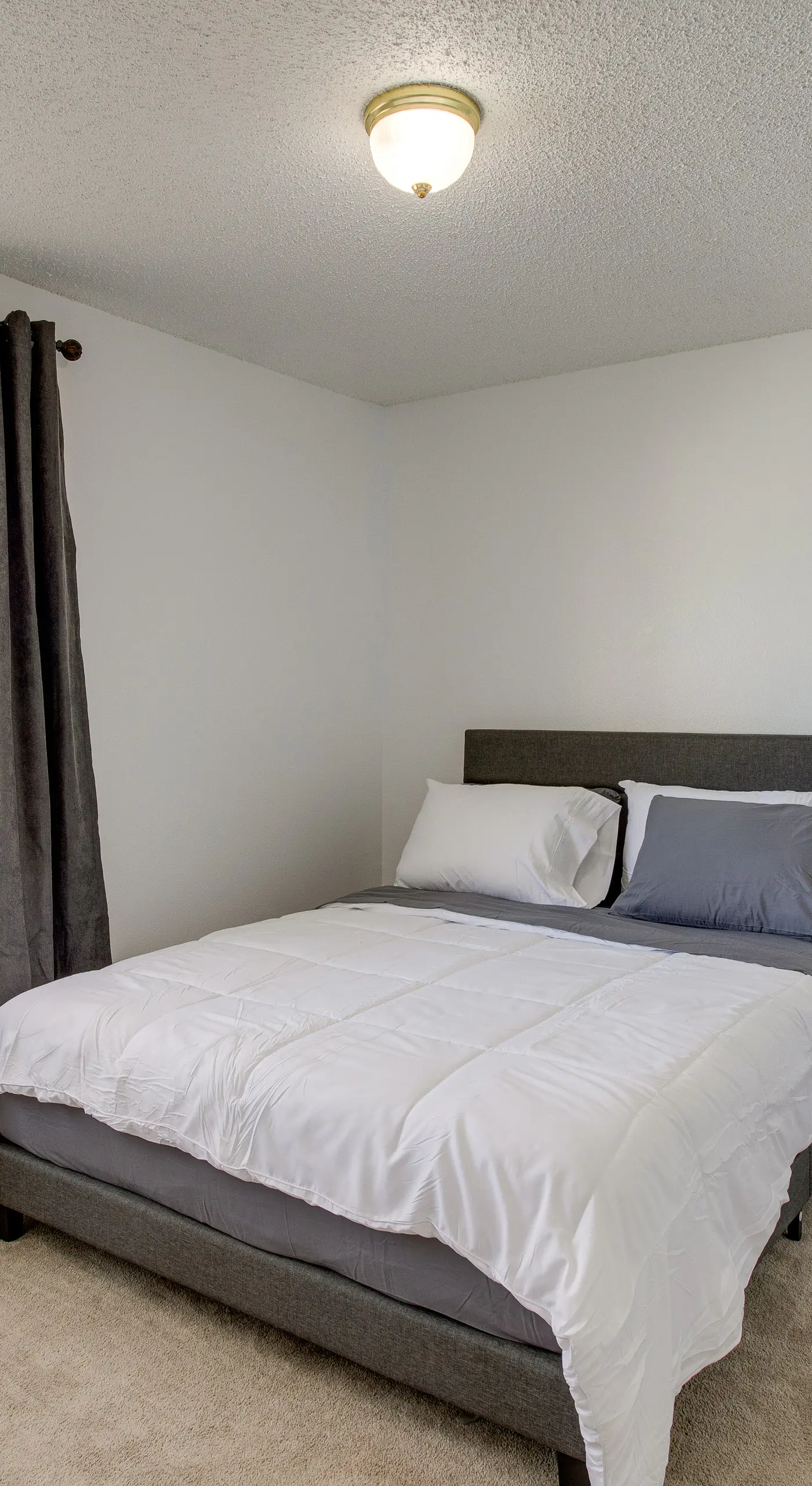 Patio, Grill, Yard: Pet-Friendly Denver Home!