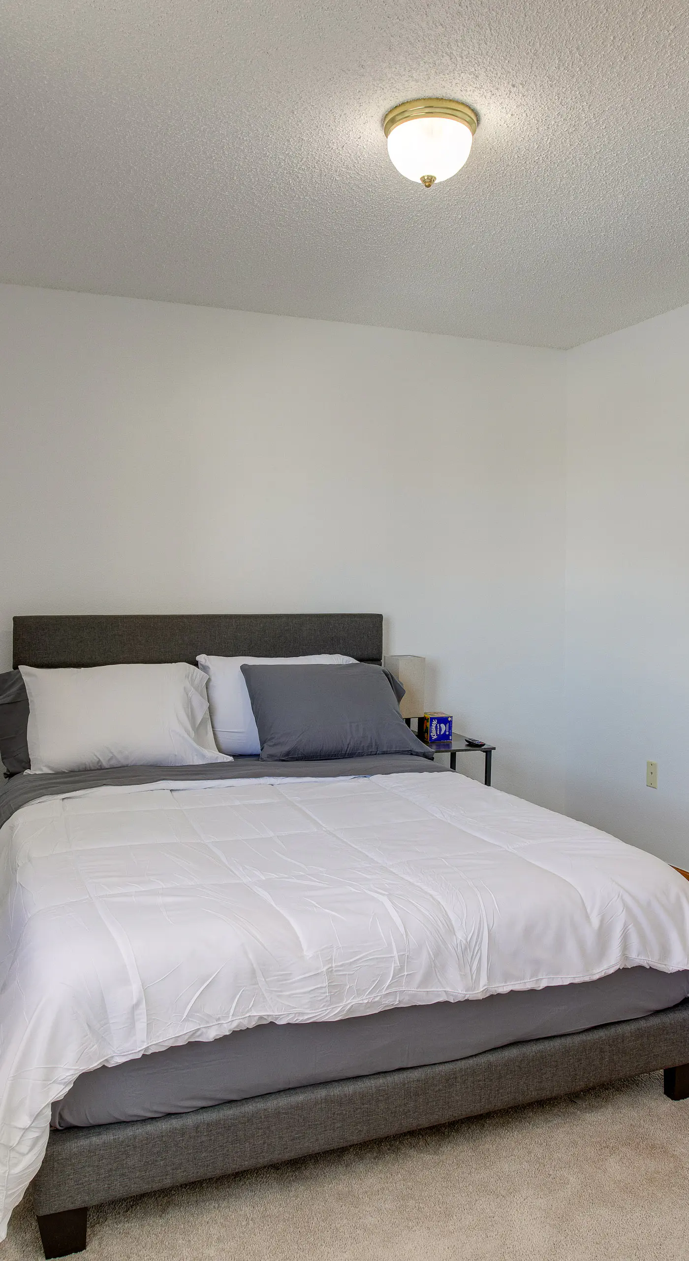 Patio, Grill, Yard: Pet-Friendly Denver Home!