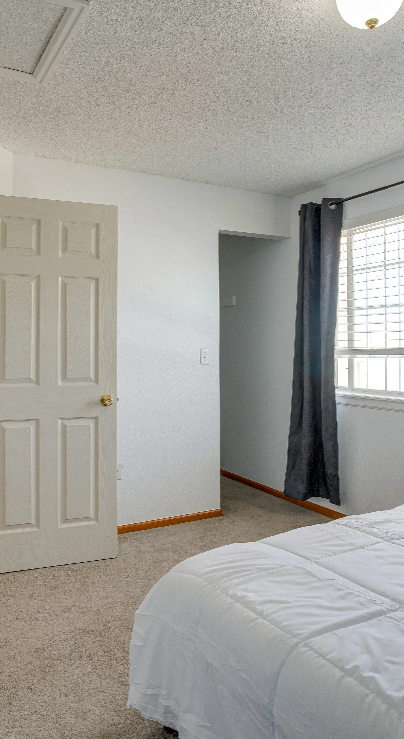 Patio, Grill, Yard: Pet-Friendly Denver Home!