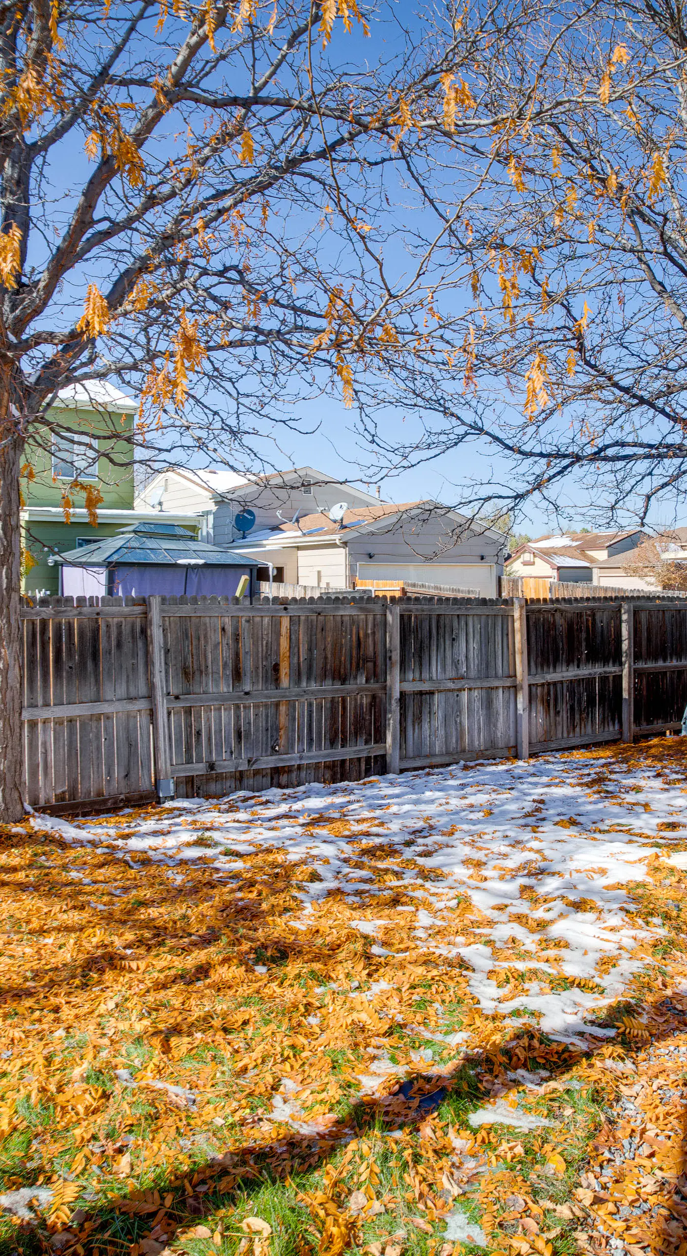 Patio, Grill, Yard: Pet-Friendly Denver Home!