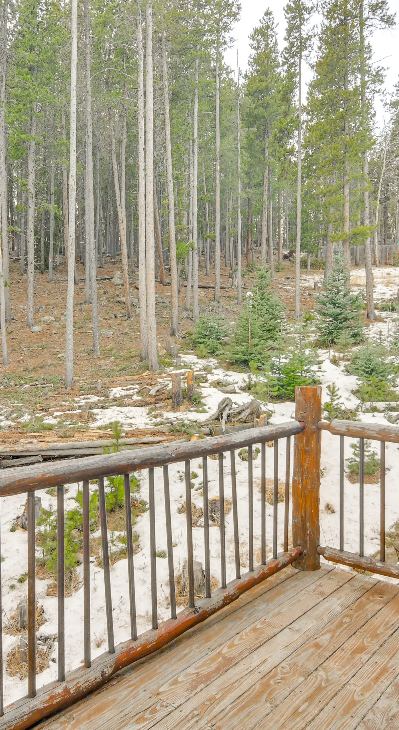 Wooded Retreat w/ Private Hot Tub in Evergreen