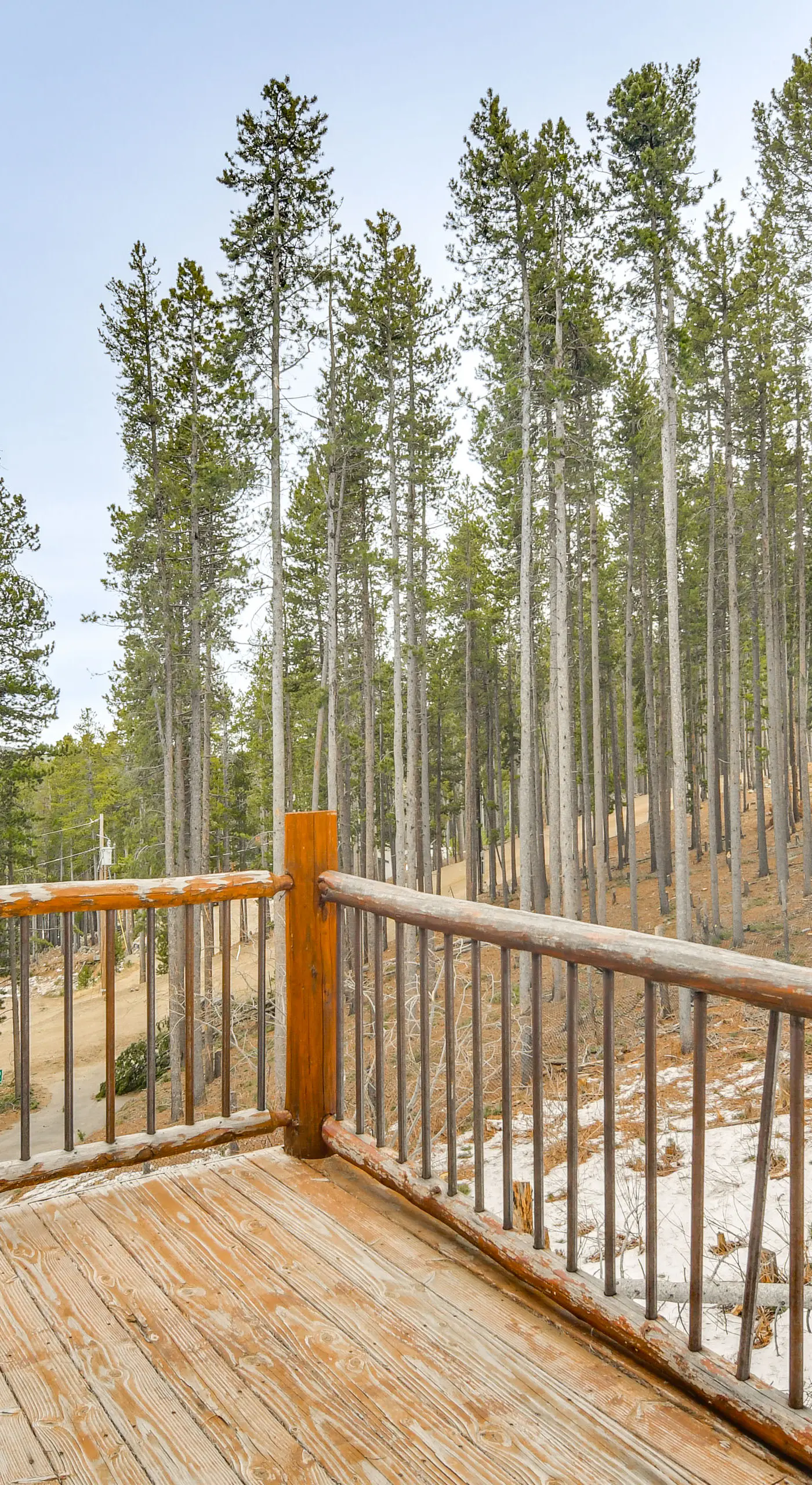 Wooded Retreat w/ Private Hot Tub in Evergreen