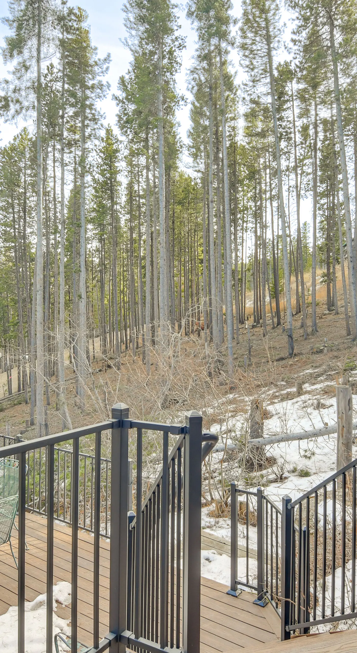 Wooded Retreat w/ Private Hot Tub in Evergreen