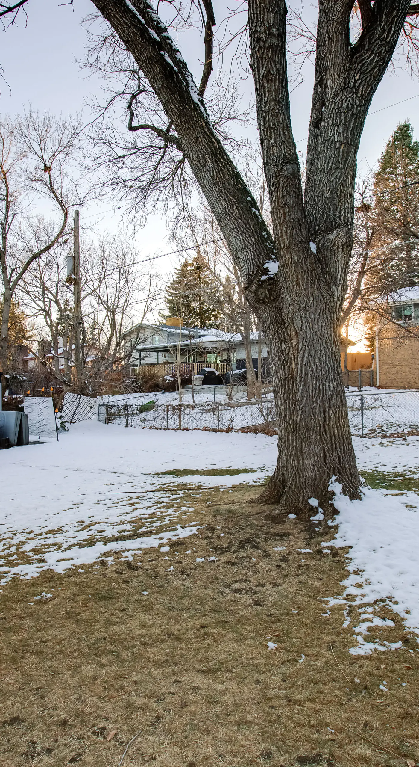 Work & Play Near Old Town Arvada: Pets Welcome!