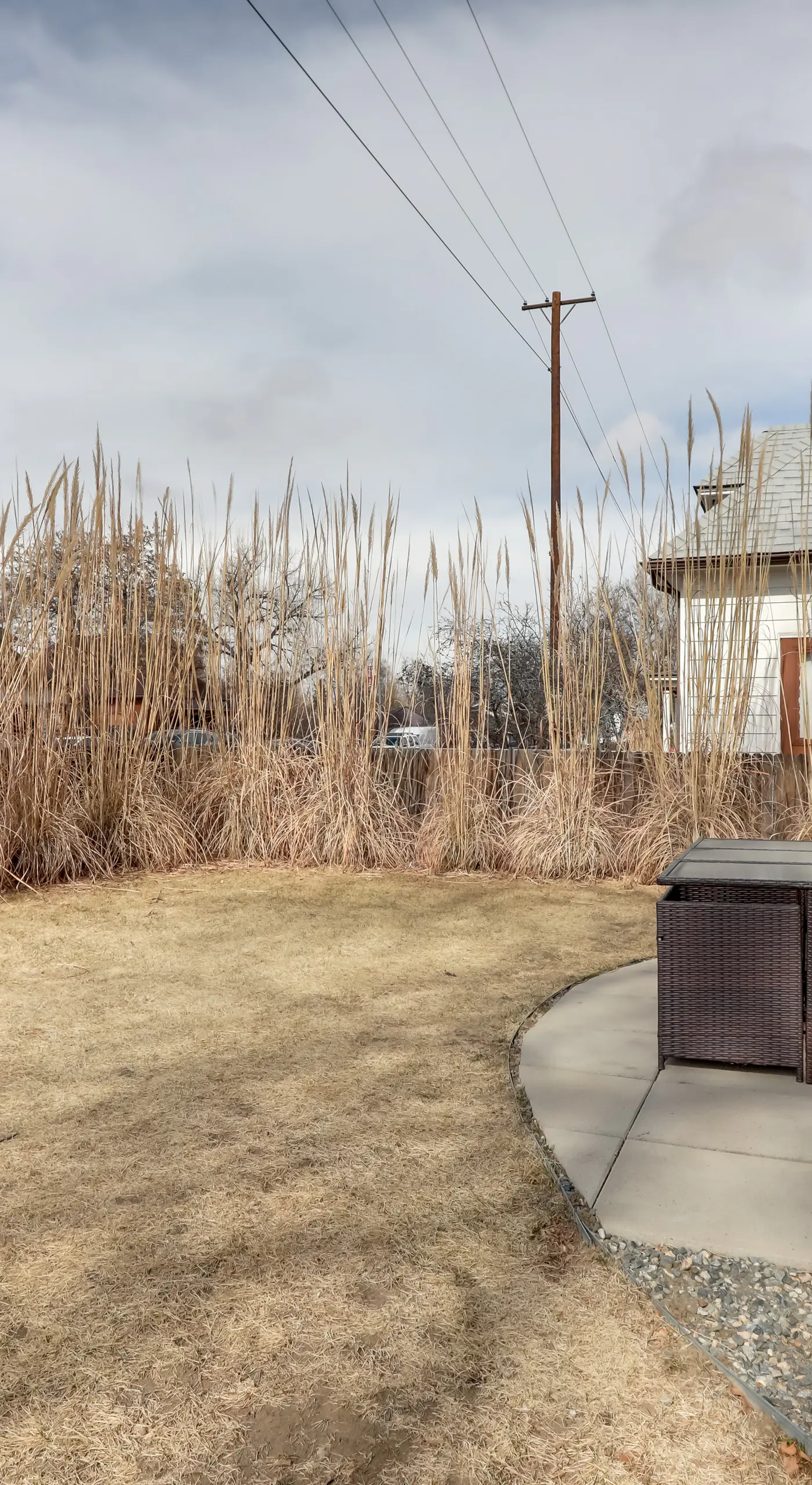 Near Freeways! Centrally Located Denver Retreat