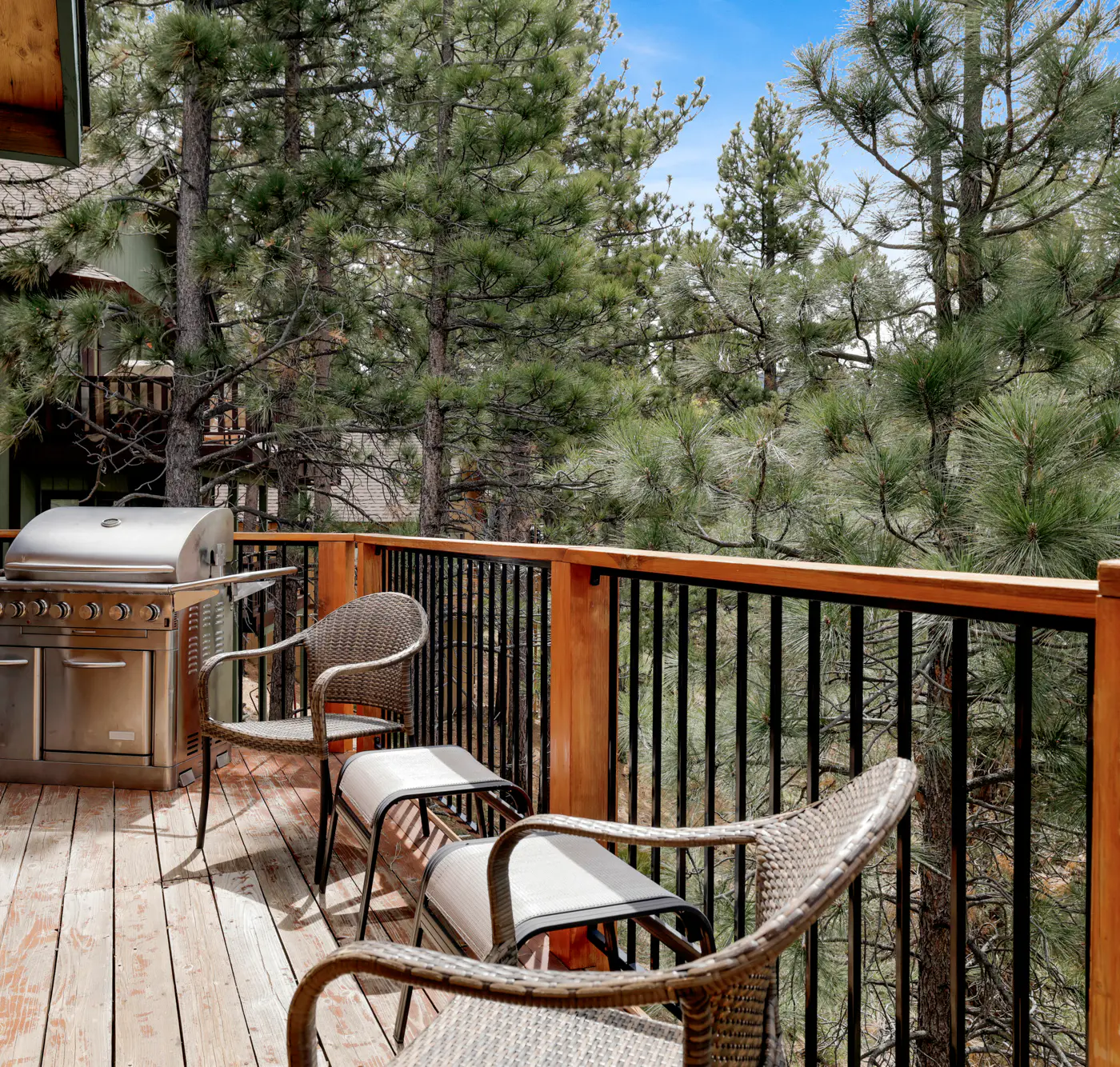 2610- Aspen Bear Retreat