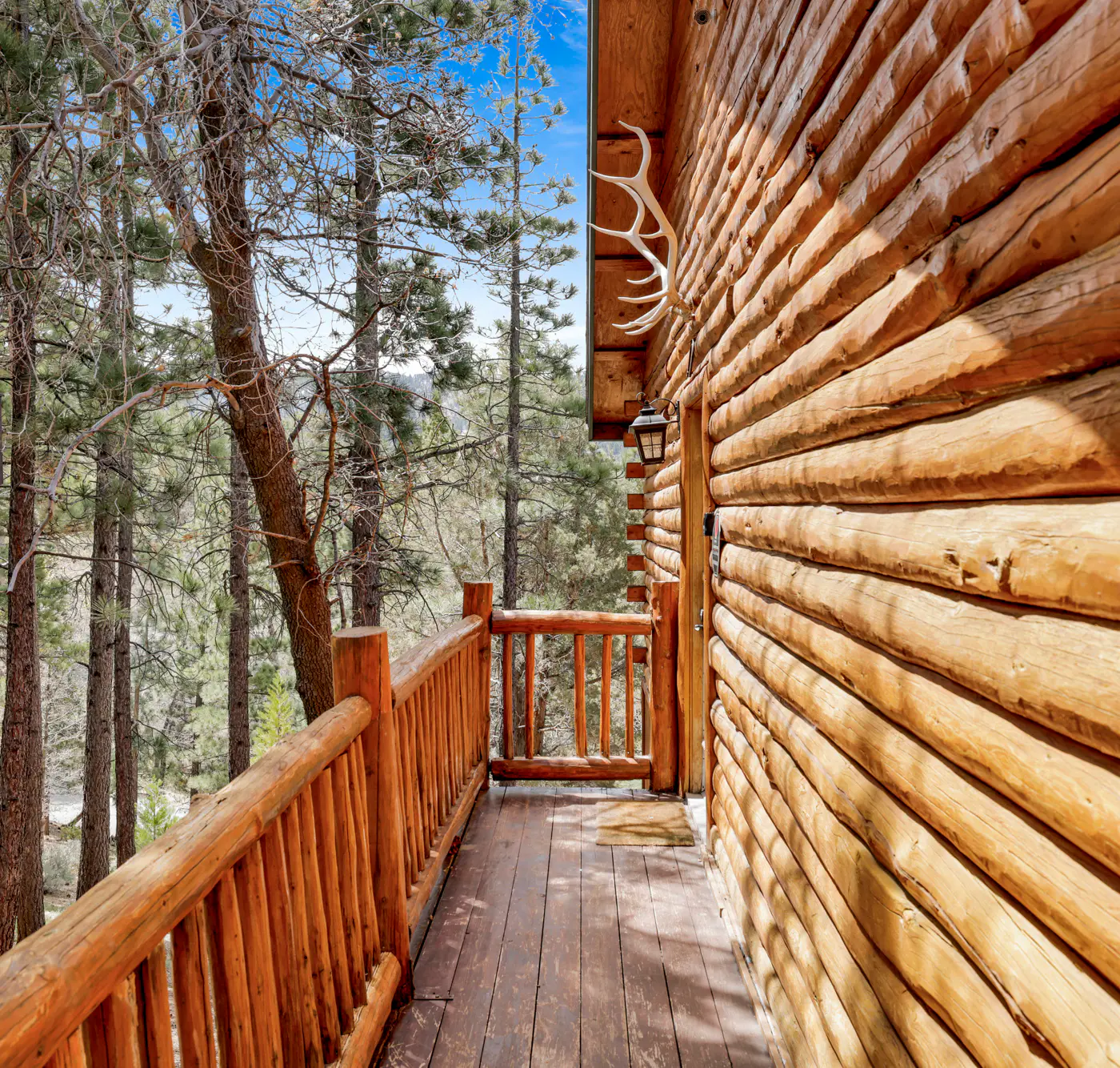 2610- Aspen Bear Retreat