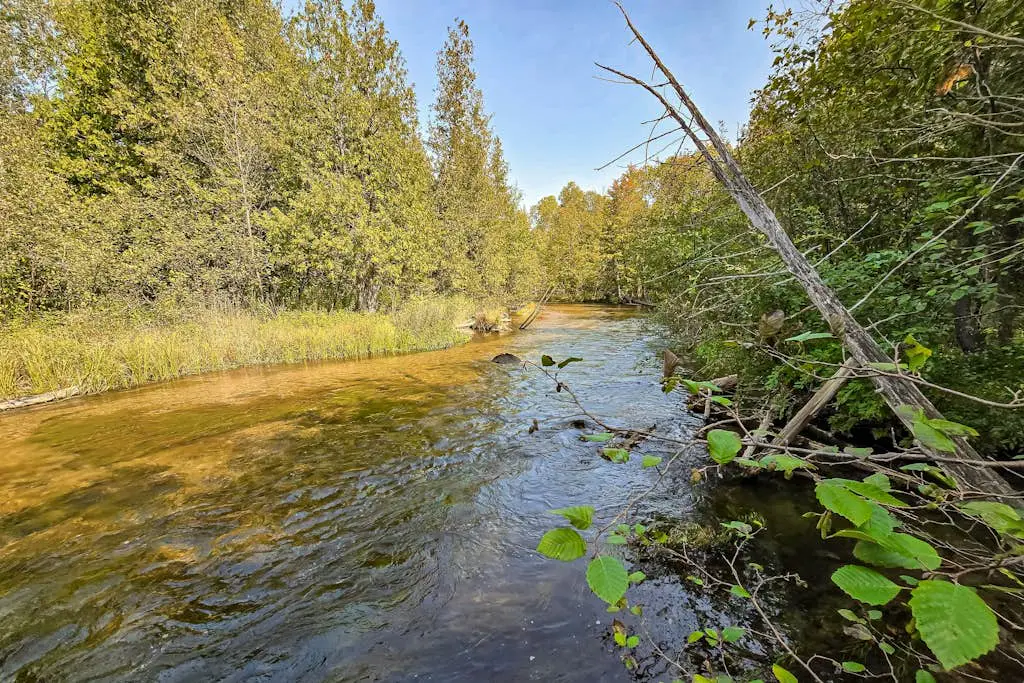 Trout Lily Cabin