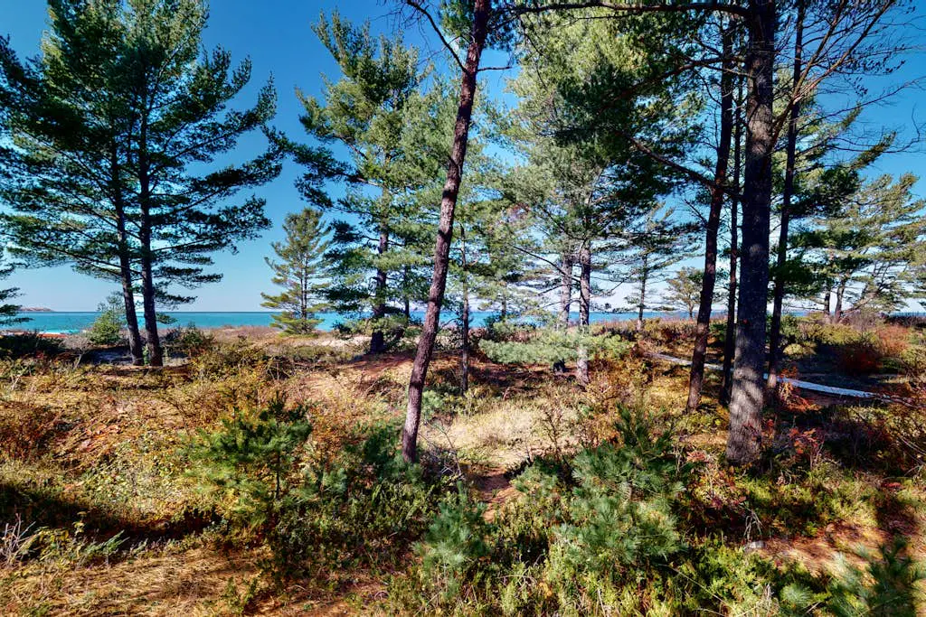 Wilderness 12