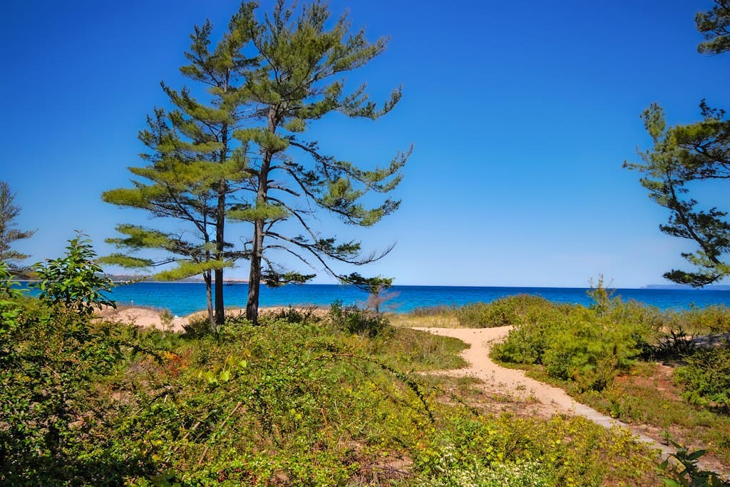 Beachfront condo in Glen Arbor with deck, fireplace, Lake Michigan views & W/D
