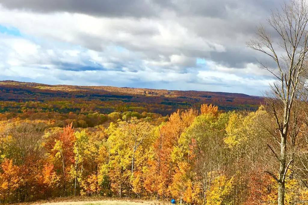 Wintergreen Condo, Unit 540