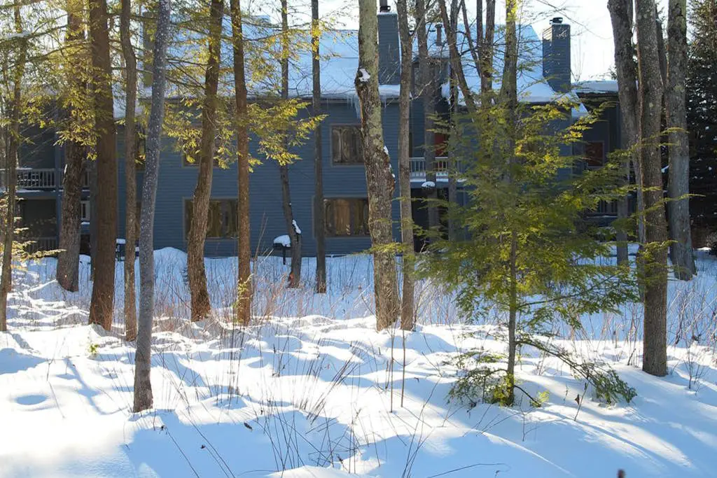 Wintergreen Condo, Unit 540