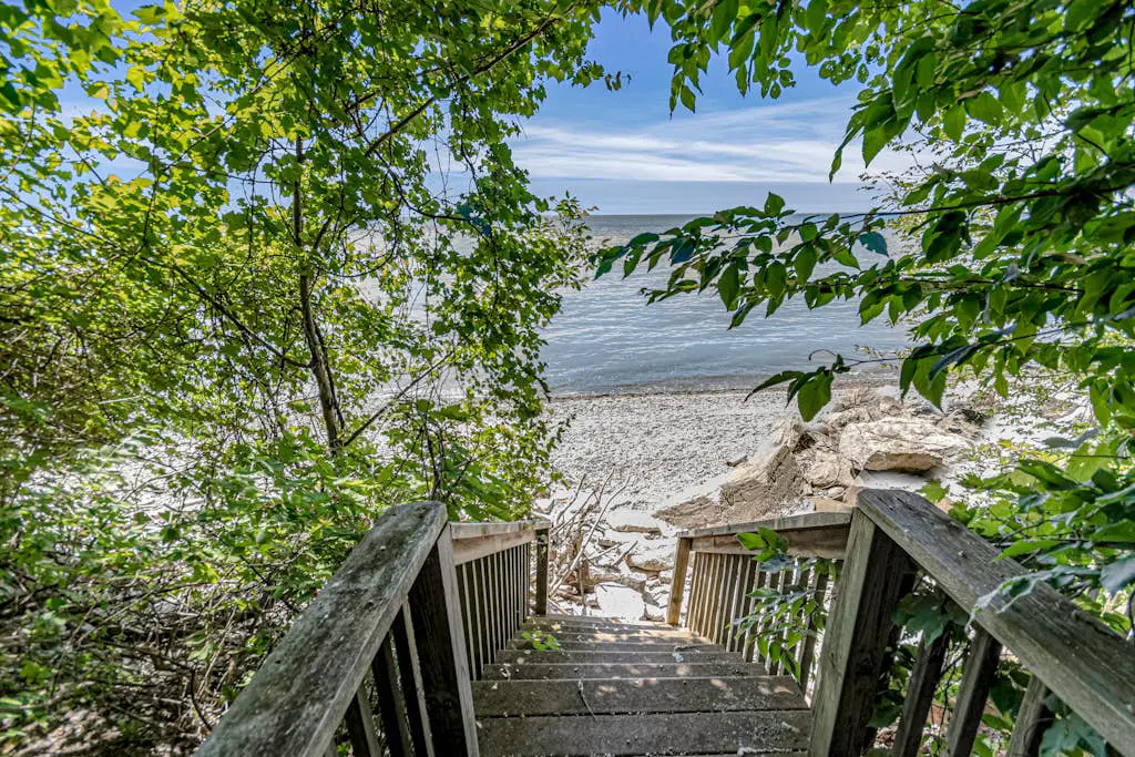 Bluffs Cove