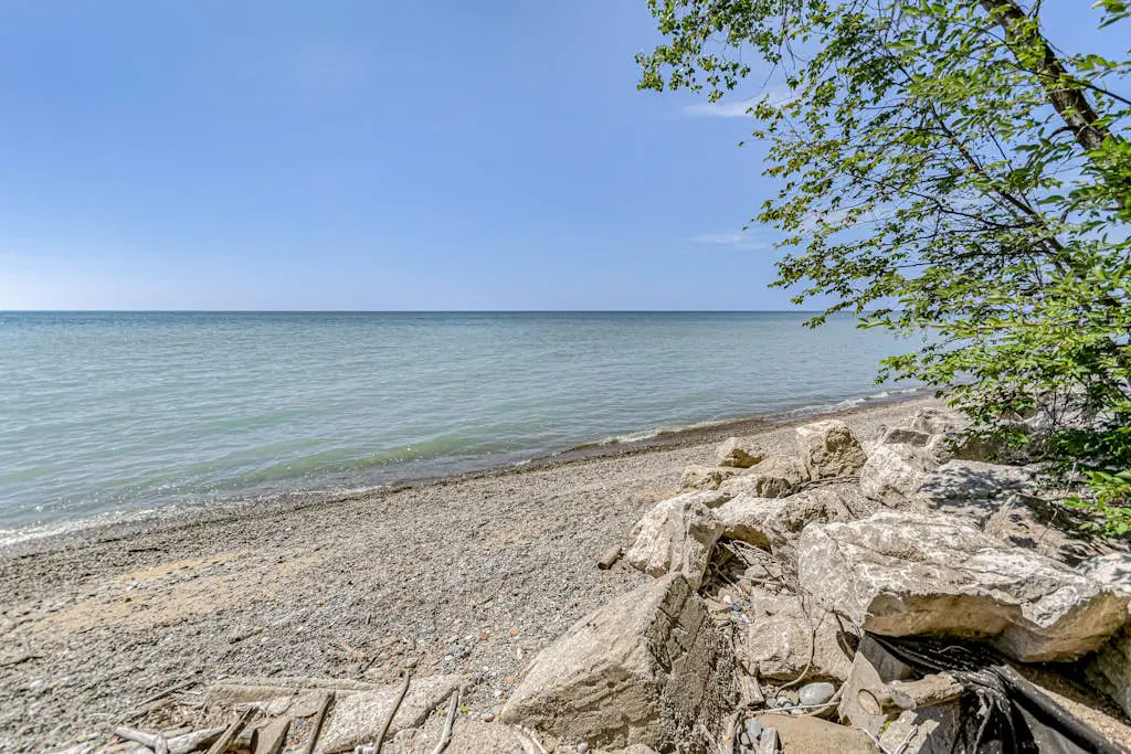 Bluffs Cove