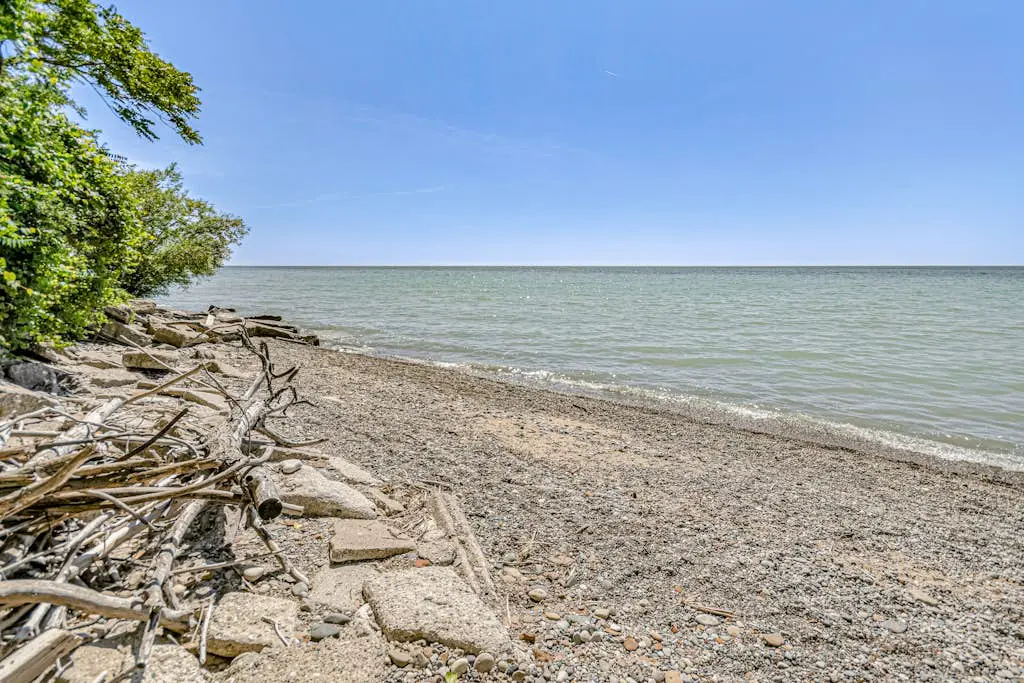 Bluffs Cove
