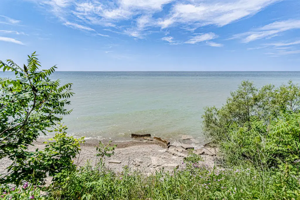 Bluffs Cove