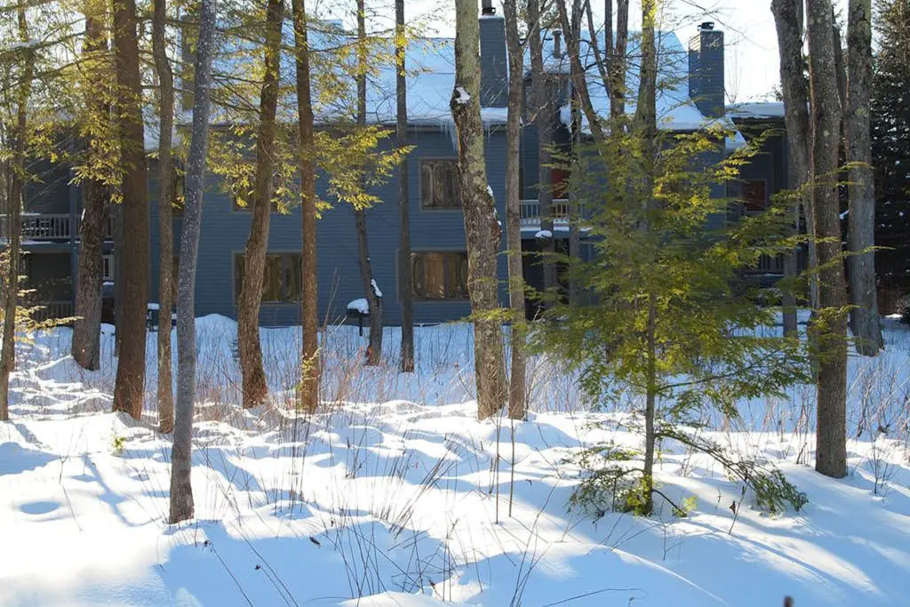 The Log Cabin